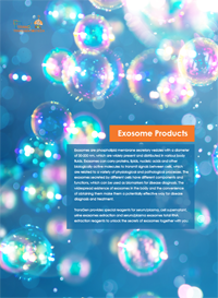 外泌體產(chǎn)品 外泌體產(chǎn)品