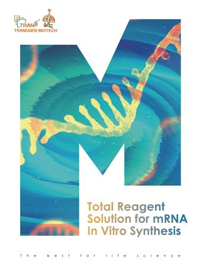 mRNA體外合成解決方案 mRNA體外合成解決方案