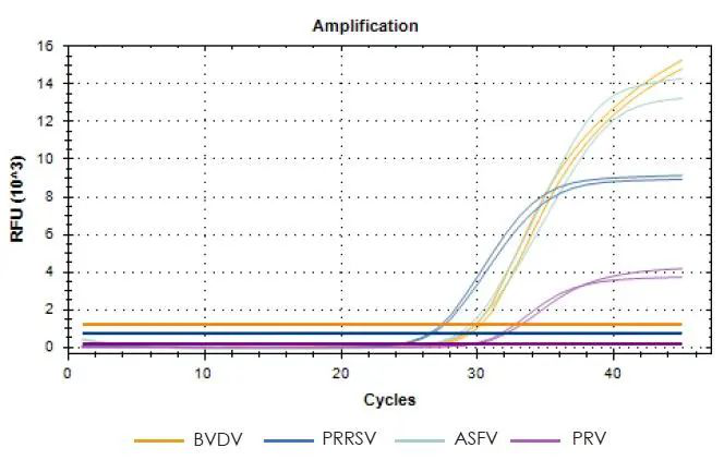 多重PCR檢測(cè)