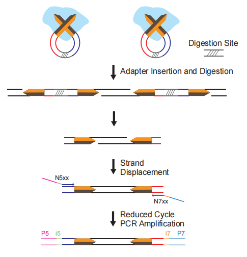 圖片17.png 圖片17.png