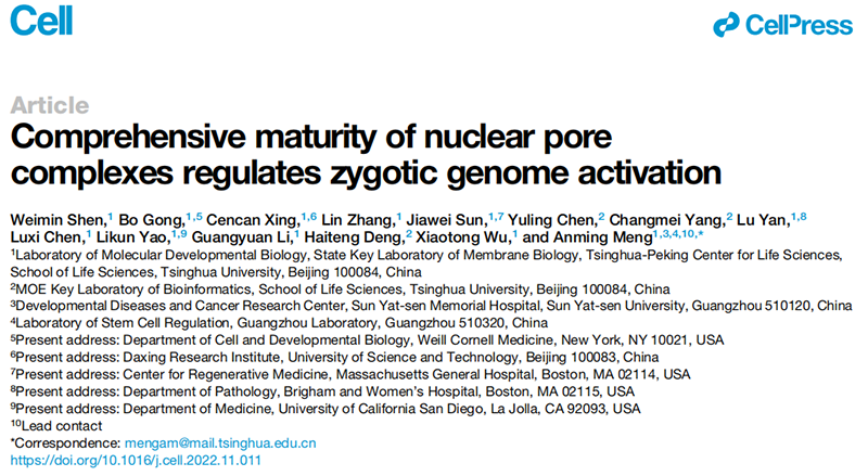 清華大學(xué)生命科學(xué)學(xué)院孟安明院士課題組揭示核孔復(fù)合體調(diào)控合子基因組激活新機(jī)制,全式金