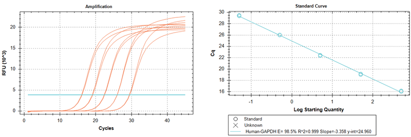 使用TransGen產(chǎn)品以不同起始量RNA（500 ng-50 pg，10倍梯度稀釋）為模板進(jìn)行  反轉(zhuǎn)錄后定量擴(kuò)增GAPDH基因。結(jié)果表明，TransGen產(chǎn)品反轉(zhuǎn)錄效率高，線性范圍廣。