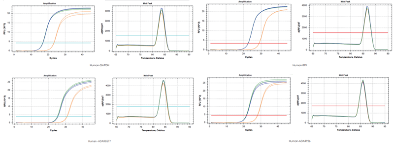 使用TransGen產(chǎn)品，以200 ng RNA、200 ng RNA+200 ng gDNA、200 ng gDNA為  模板進(jìn)行反轉(zhuǎn)錄后定量擴(kuò)增不同基因。結(jié)果表明，TransGen產(chǎn)品具有強(qiáng)的gDNA去除能力。