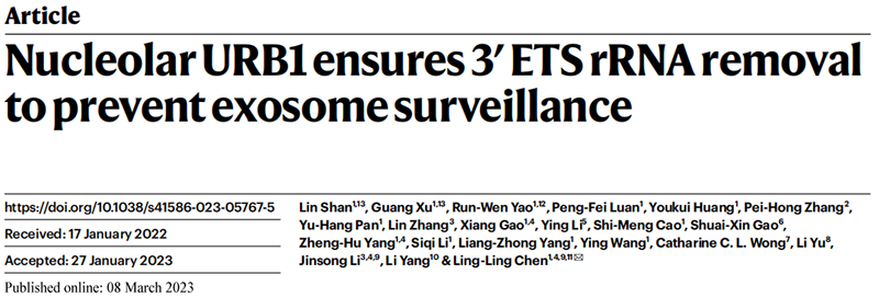 助力科研，全式金Trans1-T1化學(xué)感受態(tài)細(xì)胞榮登Nature