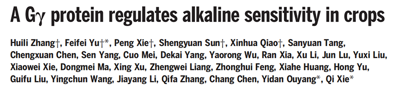 助力科研，全式金反轉(zhuǎn)錄和qPCR產(chǎn)品榮登Science