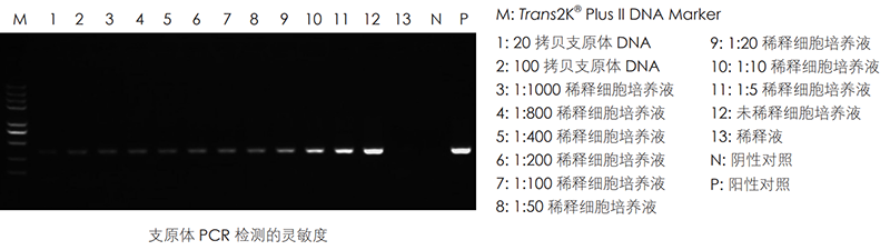 實驗數(shù)據(jù)