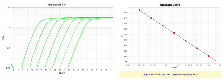 以梯度稀釋的質(zhì)粒DNA為模板，使用TransGen產(chǎn)品進(jìn)行擴(kuò)增。結(jié)果顯示，TransGen產(chǎn)品擴(kuò)增效率高，可得到漂亮的擴(kuò)增曲線和標(biāo)準(zhǔn)曲線。