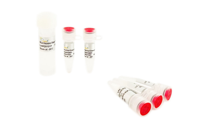 熱啟動(dòng)系列熒光定量PCR試劑盒 熱啟動(dòng)系列熒光定量PCR試劑盒