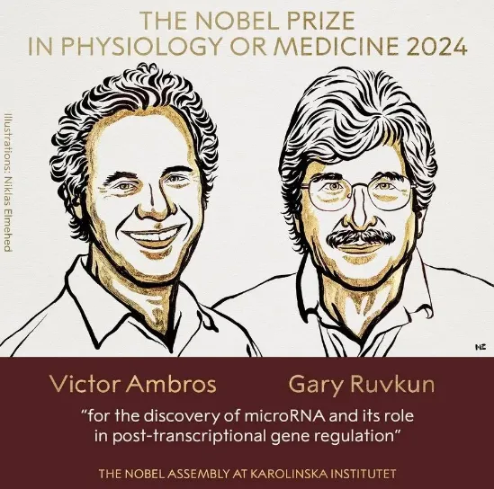 2024年諾貝爾生理學或醫(yī)學獎獲獎者，Victor Ambros和Gary Ruvkun