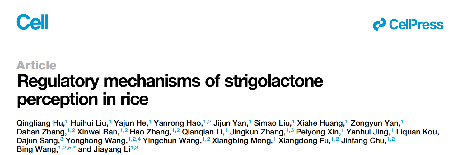 Regulatory mechanisms of strigolactone perception in rice.png Regulatory mechanisms of strigolactone perception in rice.png