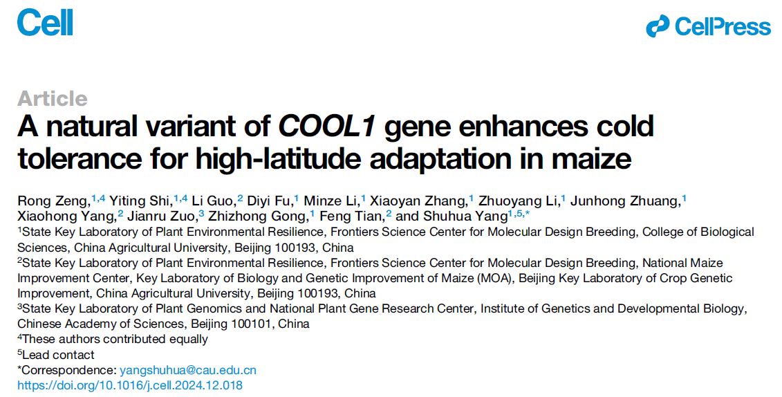 A natural variant of COOL1 gene enhances cold tolerance for high latitude adaptation in maize