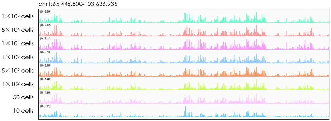 Peak位點準(zhǔn)確有效