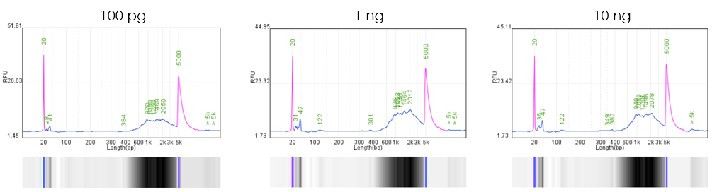 圖片4.png 圖片4.png