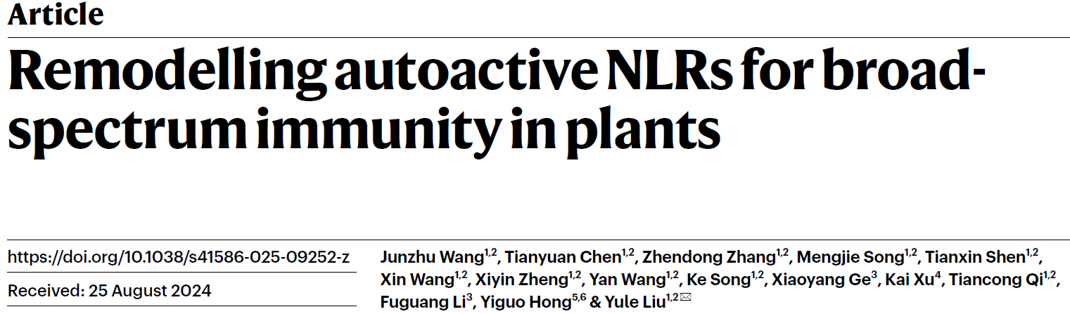 Remodelling autoactive NLRs for broad-spectrum immunity in plants