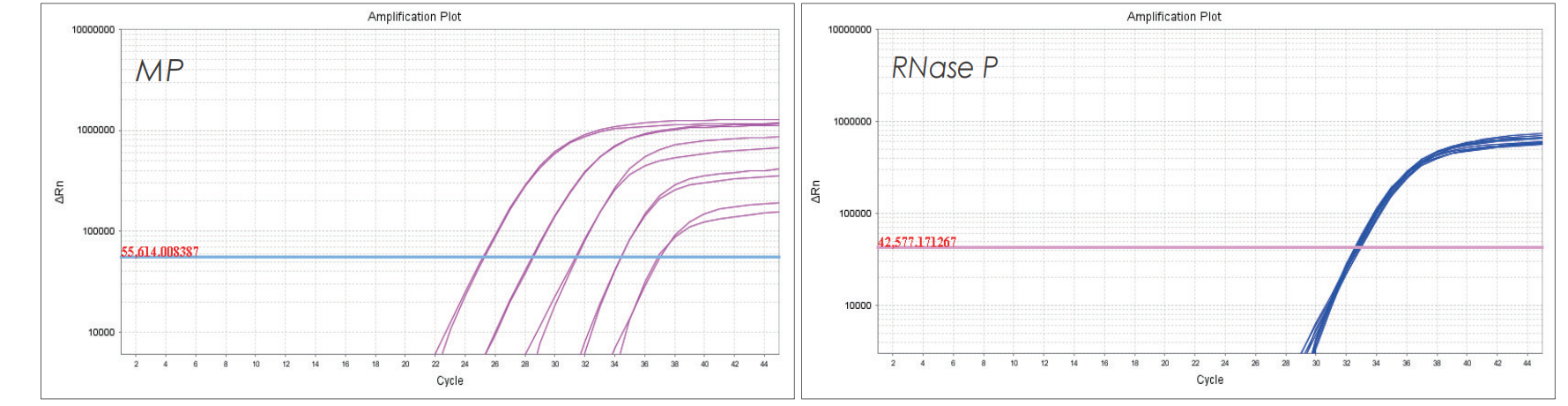 實驗數(shù)據(jù) 實驗數(shù)據(jù)
