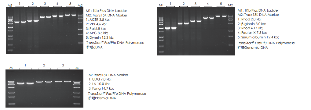 數(shù)據(jù)展示 數(shù)據(jù)展示